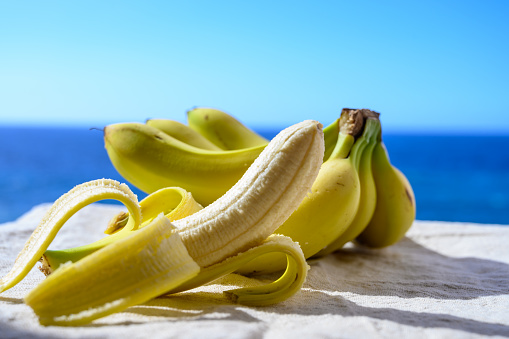 Eco farming in Spain, organic ripe yellow Canarian bananas from La Palma island and blue sea view