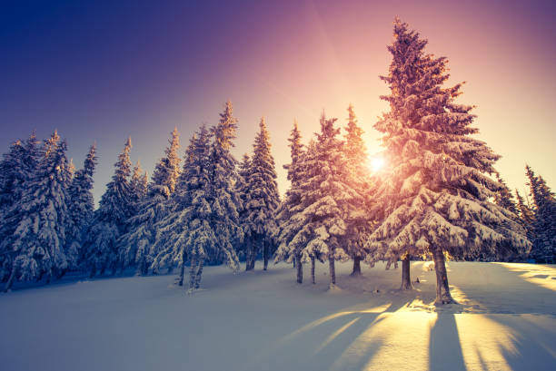 istock Fantastic evening wintry scene. National Park Carpathian, Ukraine, Europe. 1199981687