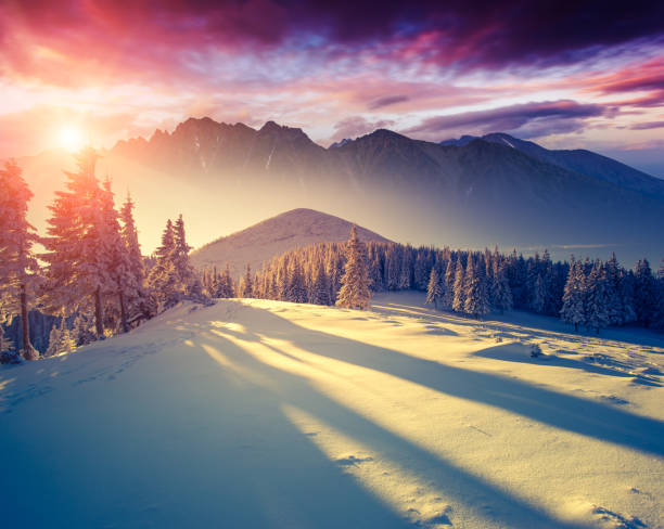 istock Fantastic evening wintry scene. National Park Carpathian, Ukraine, Europe. 1199981790