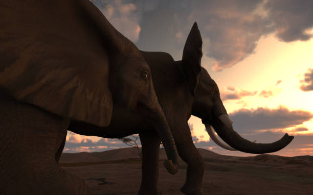 istock Baby calf elephant walking with his african dad uder sunset 3d rendering 1199983752