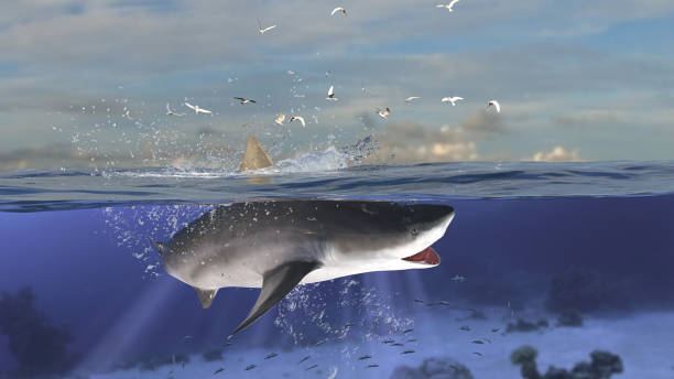 istock Horizontal view of bull shark diving and jumping while half is underwater deep ocean 3d rendering 1199983800