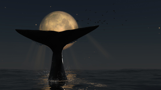 Enermous tail of bowhead  is carrying the moon in the middle of the ocean 3d rendering