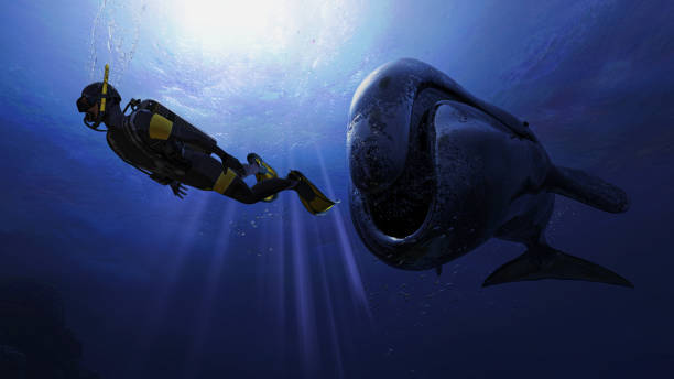 istock A big bowhead whale is after a scuba diver getting really close swimming together 3d rendering 1199983817