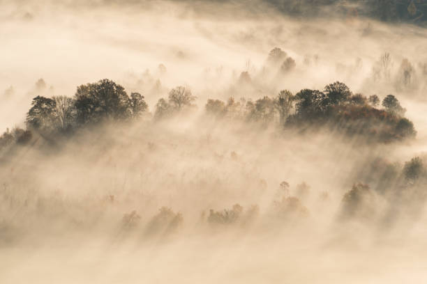 istock Sunrise above the clouds from Stissing Mountain, New York 1199984246
