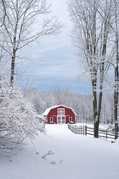 istock Red barn in white snow before Christmas 1199984328