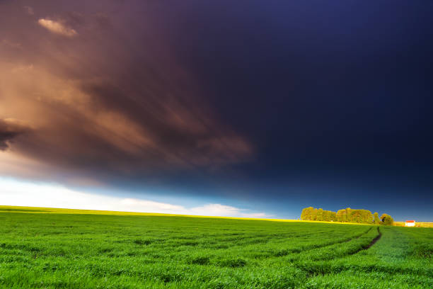istock Fantastic green field at the dramatic overcast sky. Ukraine, Europe. 1199986556