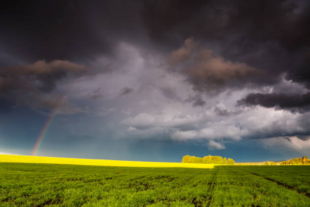 fantastico campo verde nel drammatico cielo nuvoloso. ucraina, europa. - storm wheat storm cloud rain foto e immagini stock