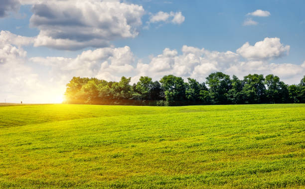istock Beautiful sunny day in the field with blue sky. 1199987417