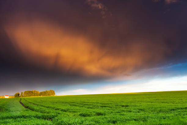 istock Fantastic green field at the dramatic overcast sky. Ukraine, Europe. 1199987433