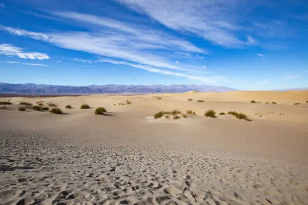 The vast Mesquite Sand Dunes in Death Valley National Park, California.