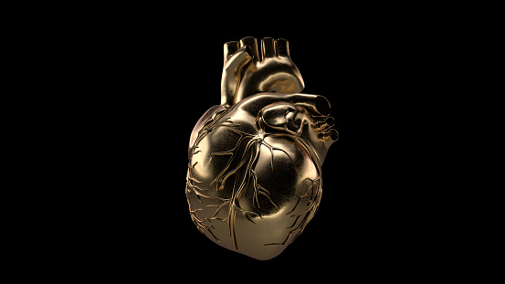 Human heart made of gold isolated. 3D illustration