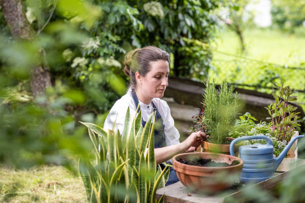 istock Woman planting herbs 1199988812