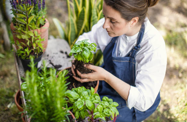 istock Woman planting herbs 1199989019