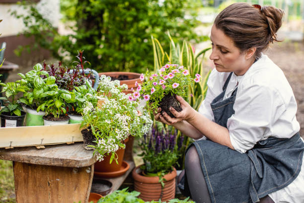 istock Woman planting flowers 1199989873
