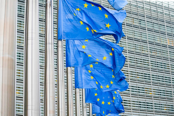 istock European Union Flags 1199991458