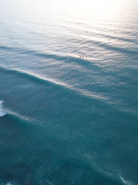 istock Surfers sitting in the sea from above 1199992179
