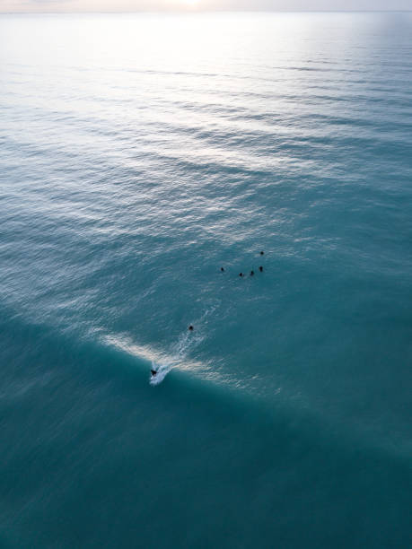 istock Surfers sitting in the sea from above 1199992196
