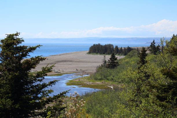 istock Nova Scotia scenery close to Parrsbaro 1200000174