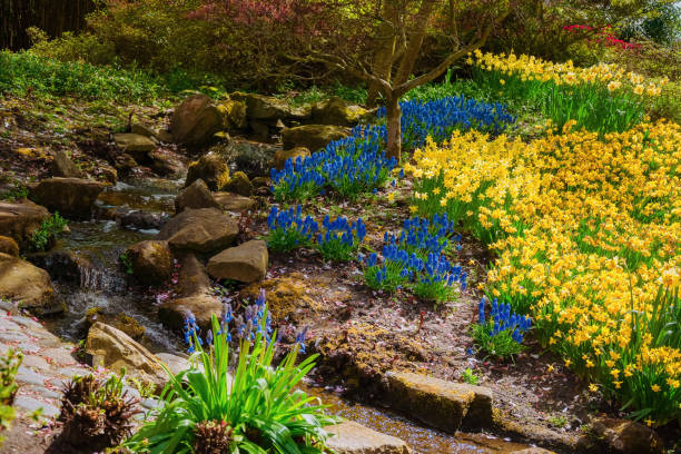 istock Flower Bed in the Park 1200001255