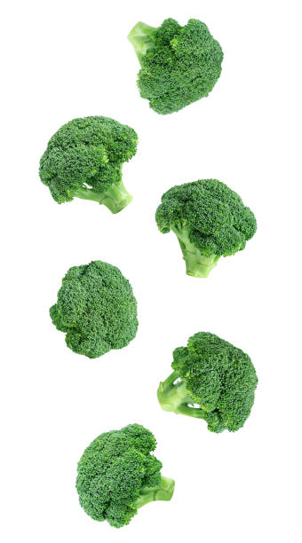 istock Falling broccoli isolated on a white background. Flying vegetables for packaging design. 1200006676