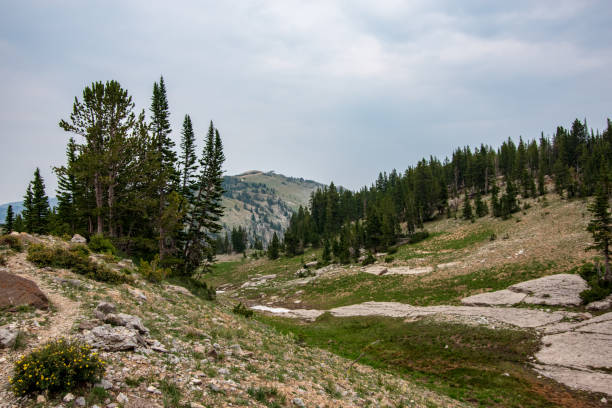 istock Hiking in the Tetons 1200010094