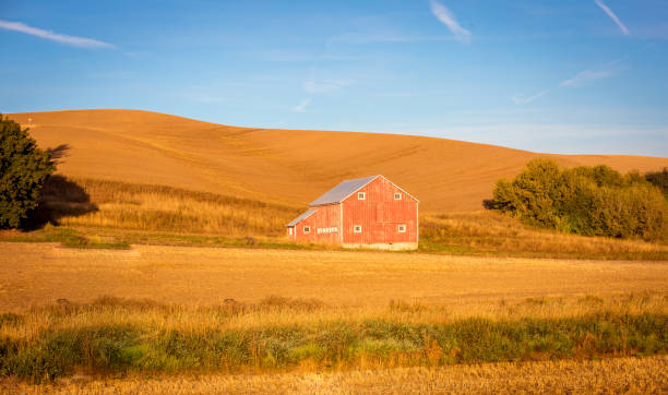 istock wooden barn in the palouse 1200010497