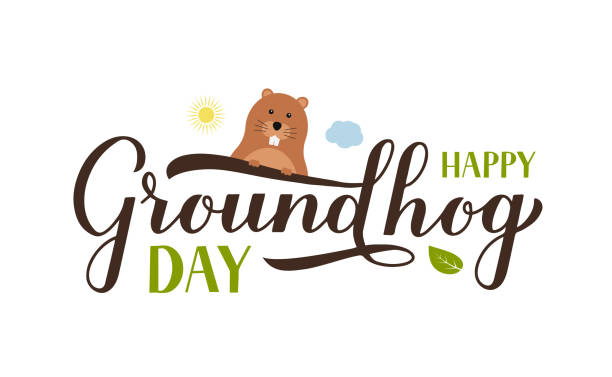 ilustrações de stock, clip art, desenhos animados e ícones de happy groundhog day calligraphy hand lettering with cute cartoon groundhog isolated on white. easy to edit vector template for greeting card, typography poster, banner, flyer, sticker, etc. - fur type