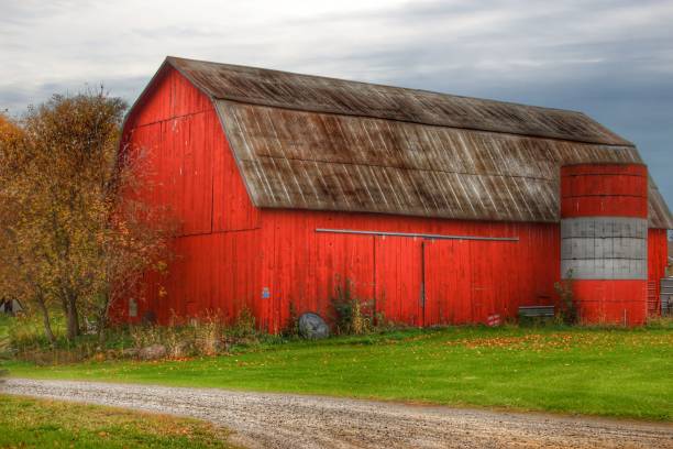 A full length red barn with multiple barn windows