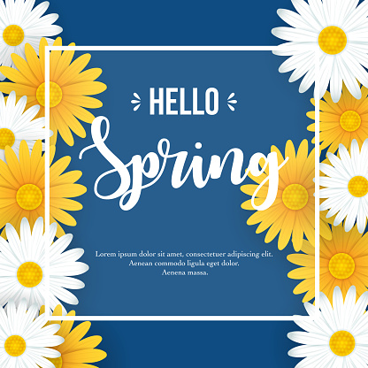 Vector illustration of Hello Spring background with beautiful white and yellow flowers