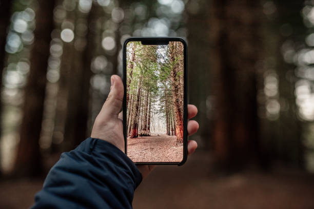 istock Taking a picture of a forest with a modern smartphone 1200014601