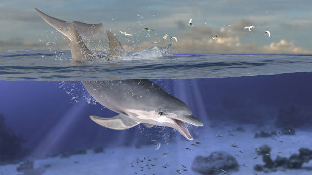 istock Horizontal view of dolphin diving and jumping while half is underwater deep ocean 3d rendering 1200023417