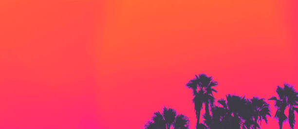 beautiful sunset of la palm trees 1980's retro style - hollywood california skyline city of los angeles panoramic imagens e fotografias de stock