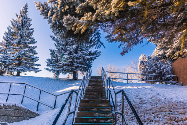 istock looking up from bottom of staircase in a park with trees at top 1200028496