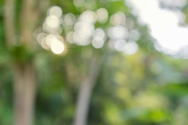 istock blurred bokeh background in city park spring time 1200029449