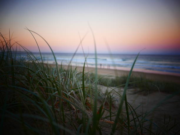 noosa beach life - sonnenuntergang - coastline noosa heads australia landscape stock-fotos und bilder
