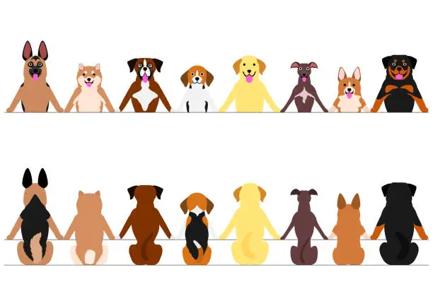 Vector illustration of smiling dogs border set, front and back