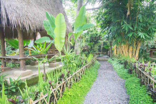 istock Nature greeny scenery at coffee farm in Bali. 1200040624