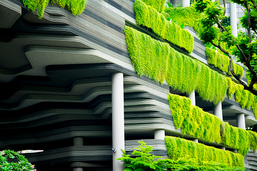 Green Eco Building in the City