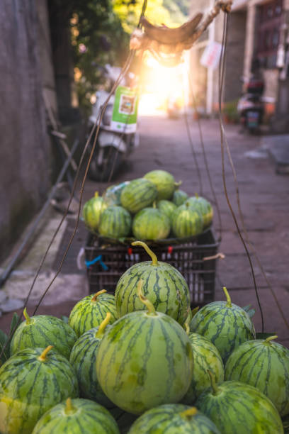 istock Huge watermelons for sale 1200045725