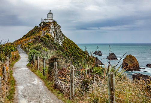 View of path leading toward the lighthouse at Nugget Point, New Zealand