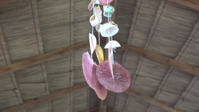 Shells mobile hanging on roof for decoration.