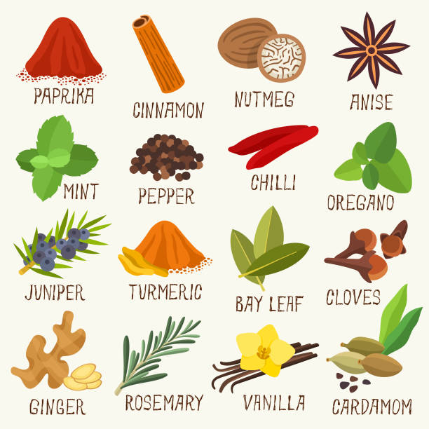 ilustrações, clipart, desenhos animados e ícones de ícones das especiarias - herb cooking garlic mint