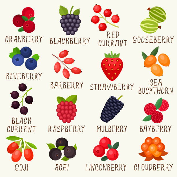 ikony jagód - raspberry gooseberry strawberry cherry stock illustrations