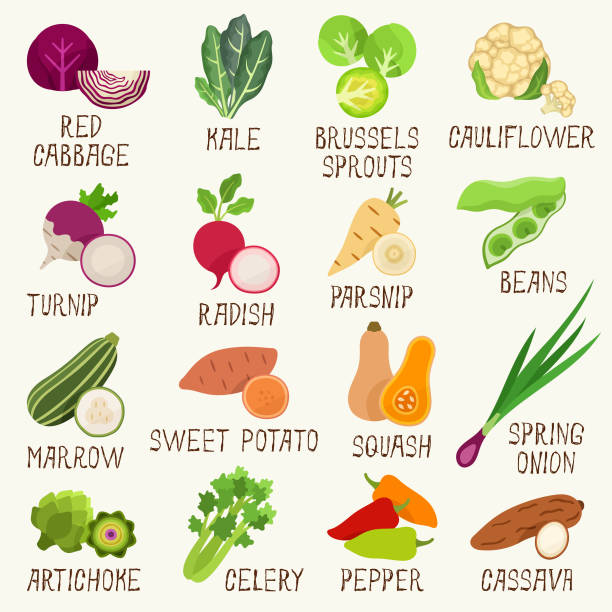 ilustraciones, imágenes clip art, dibujos animados e iconos de stock de iconos de verduras - cauliflower vegetable white isolated