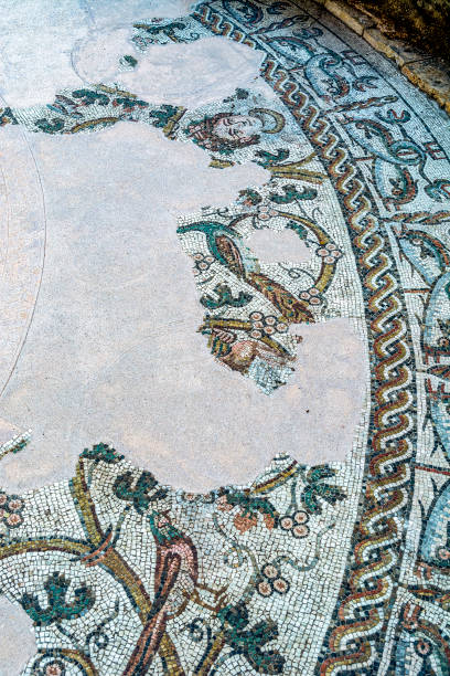istock Treviso, ancient Roman mosaic floor 1200054459