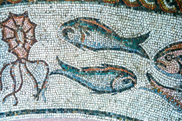 Treviso, ancient Roman mosaic floor, dating from the third century AD, Italy