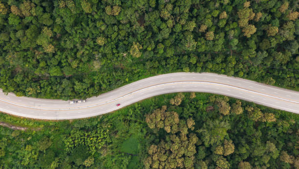 istock Aerial top view of pathway road in forest 1200054803