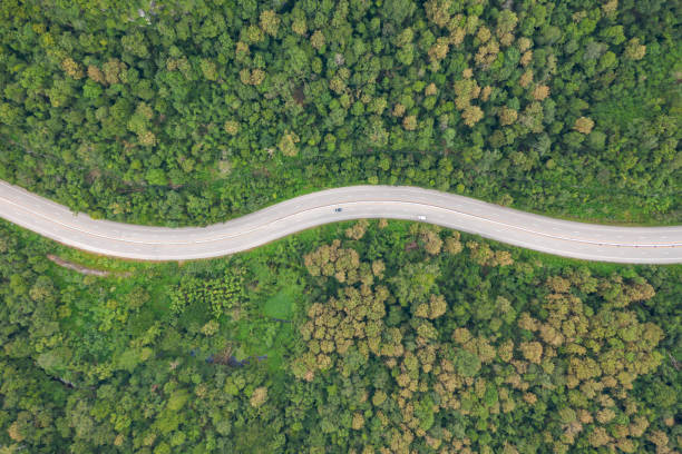 istock Aerial top view of pathway road in forest 1200054838