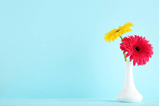 istock Ceramic vase with gerbera flowers on blue background 1200056759