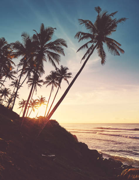 istock Tropical island at sunrise. 1200068665